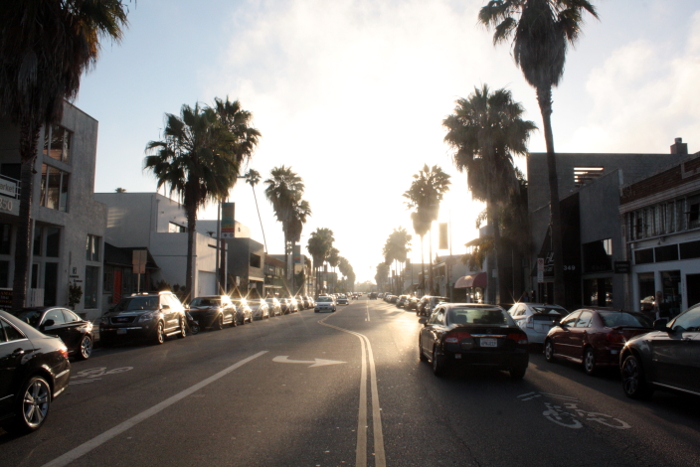 venice8