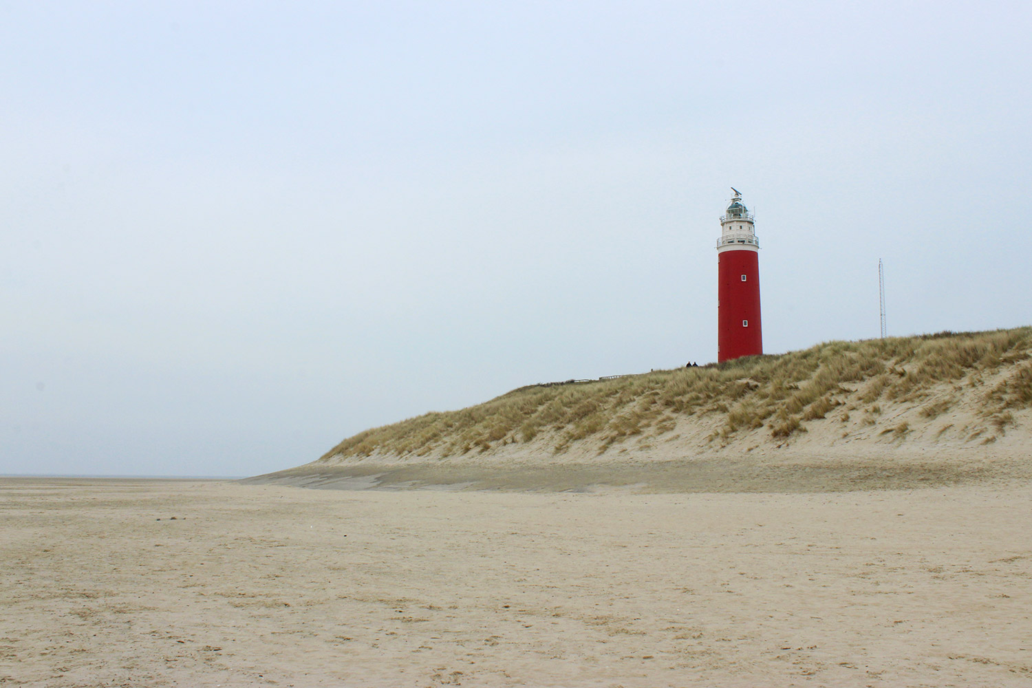 texel12