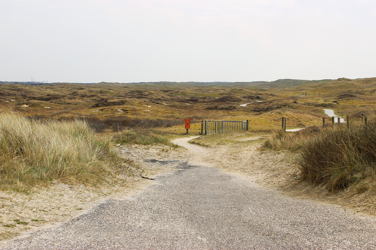 texel2