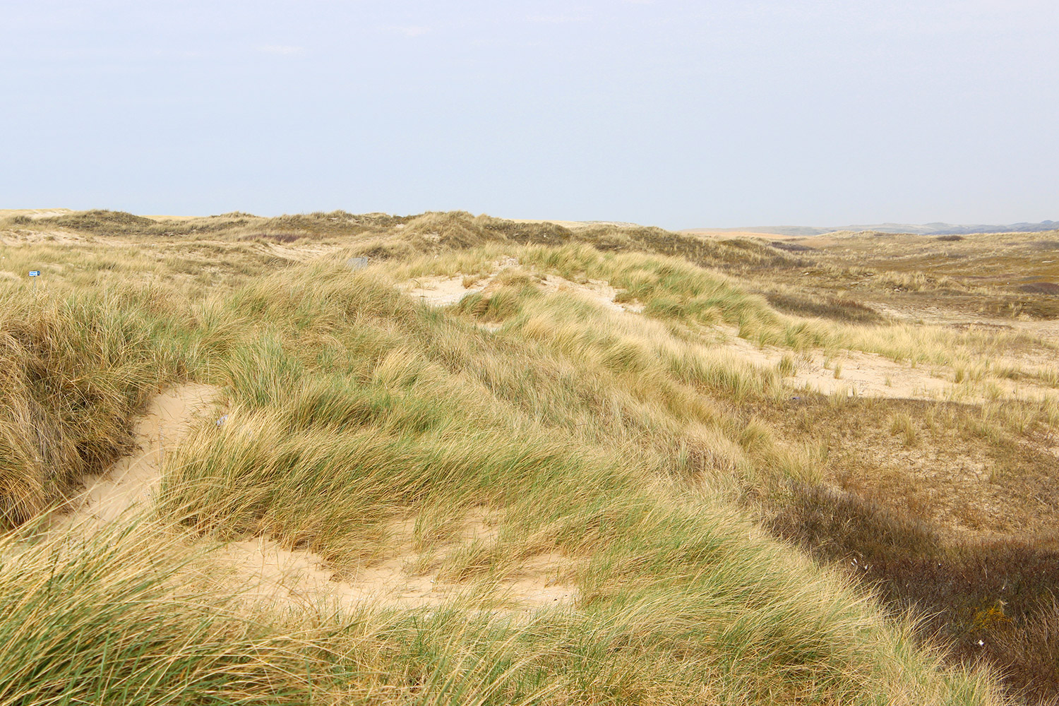 texel3