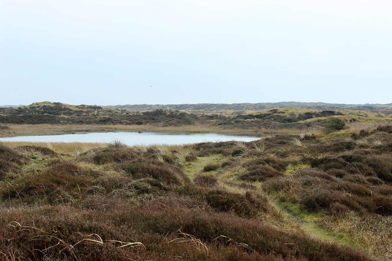 texel8