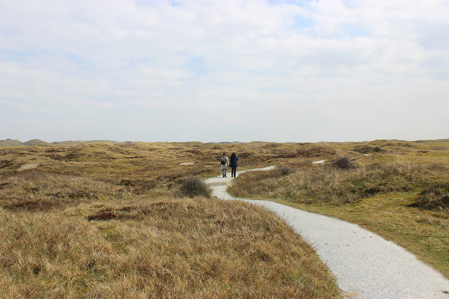 texel9