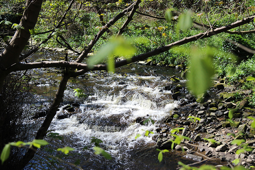 dean-village-water-leith3