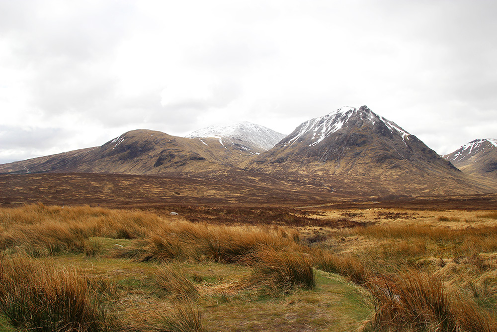 glencoe4