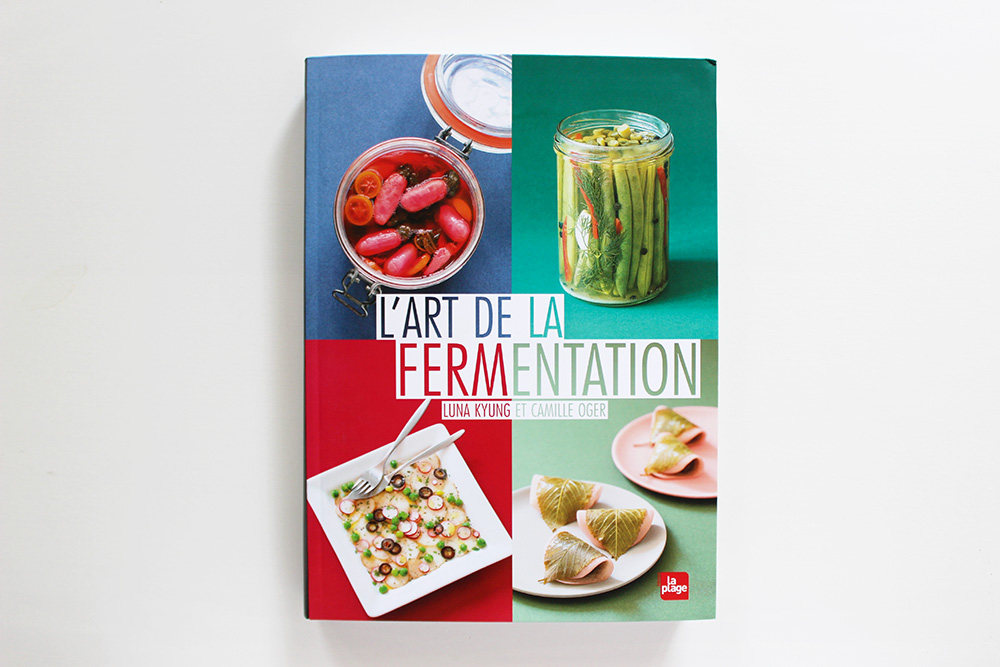 livre-cuisine-fermentation