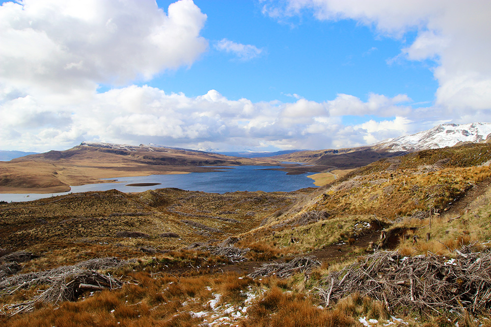 oldmanofstorr3