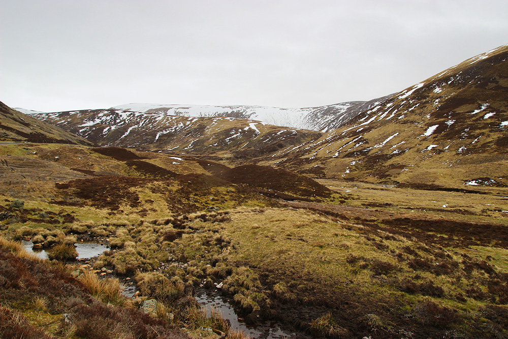 cairngorms2