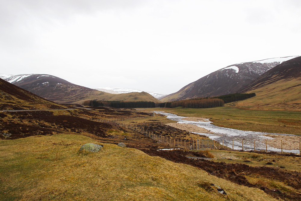 cairngorms6