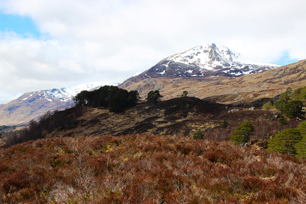 glenaffric4