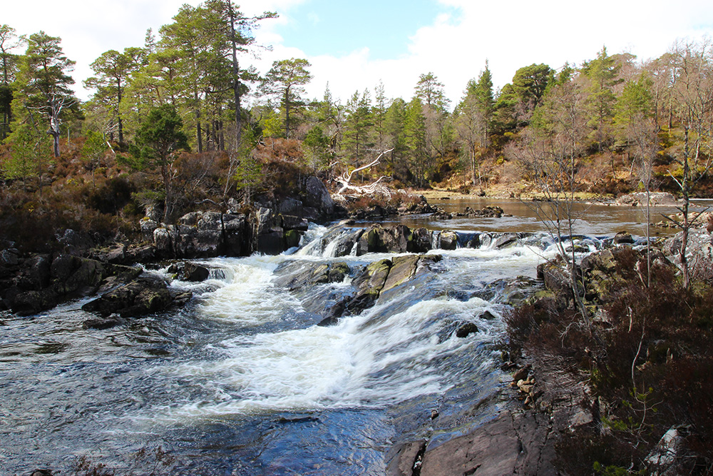 glenaffric8