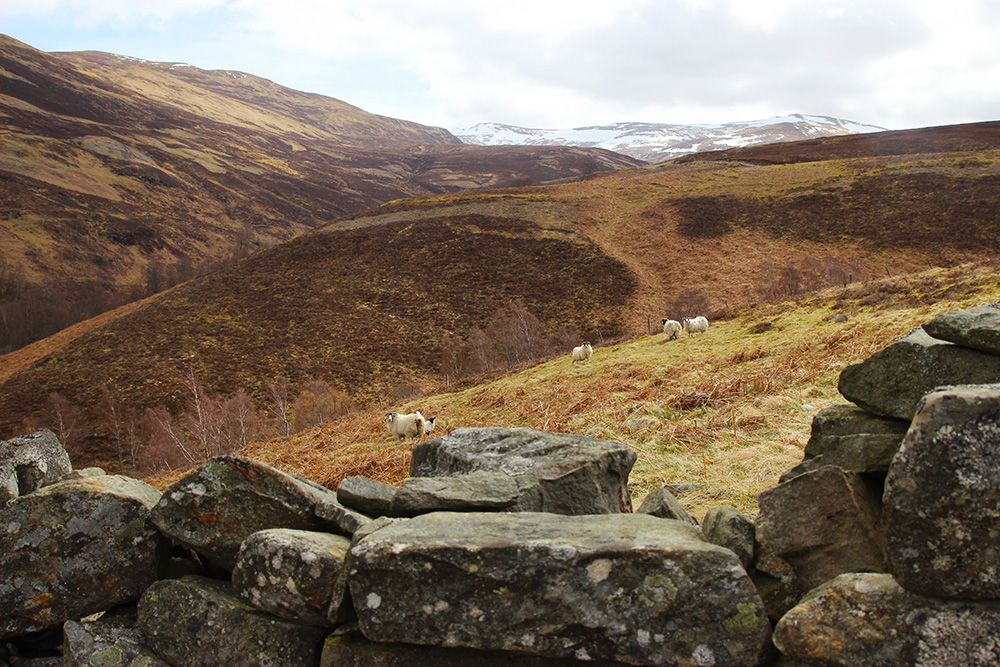 kinlochrannoch17
