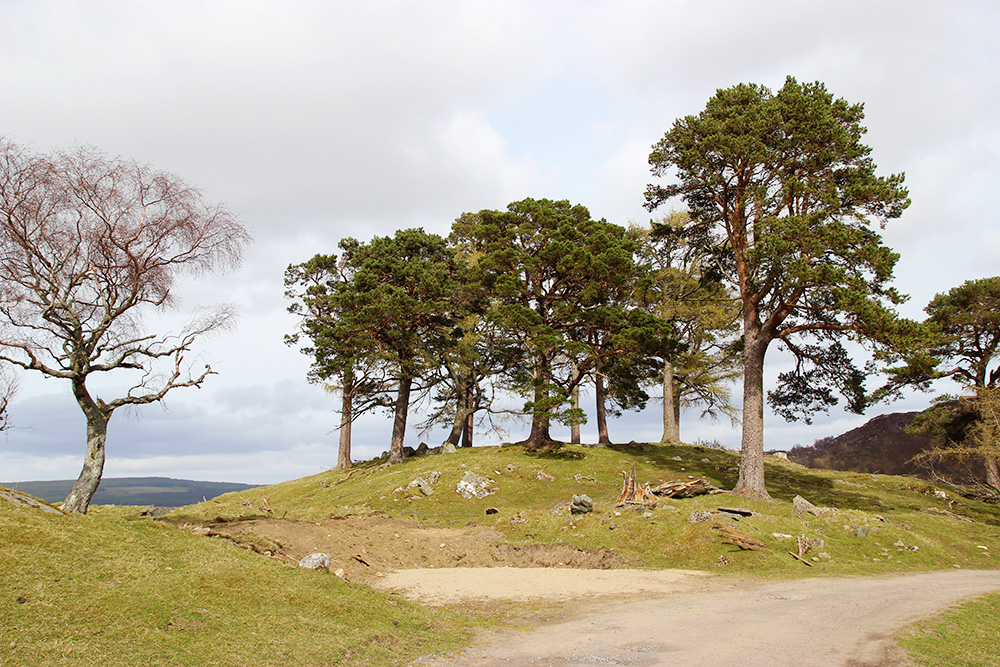 kinlochrannoch9