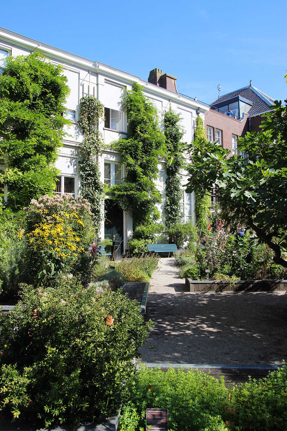 hortusbotanicus-amsterdam-jardins5