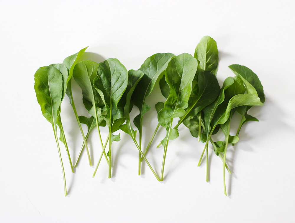 potager-balcon-roquette