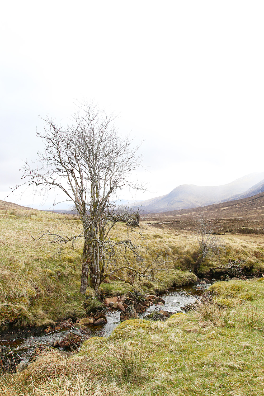 highlands-ecosse-glencoe4