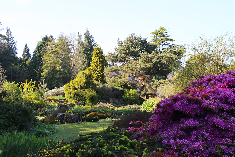 edimbourg-jardin-botanique5