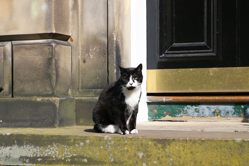 edimbourg-stockbridge