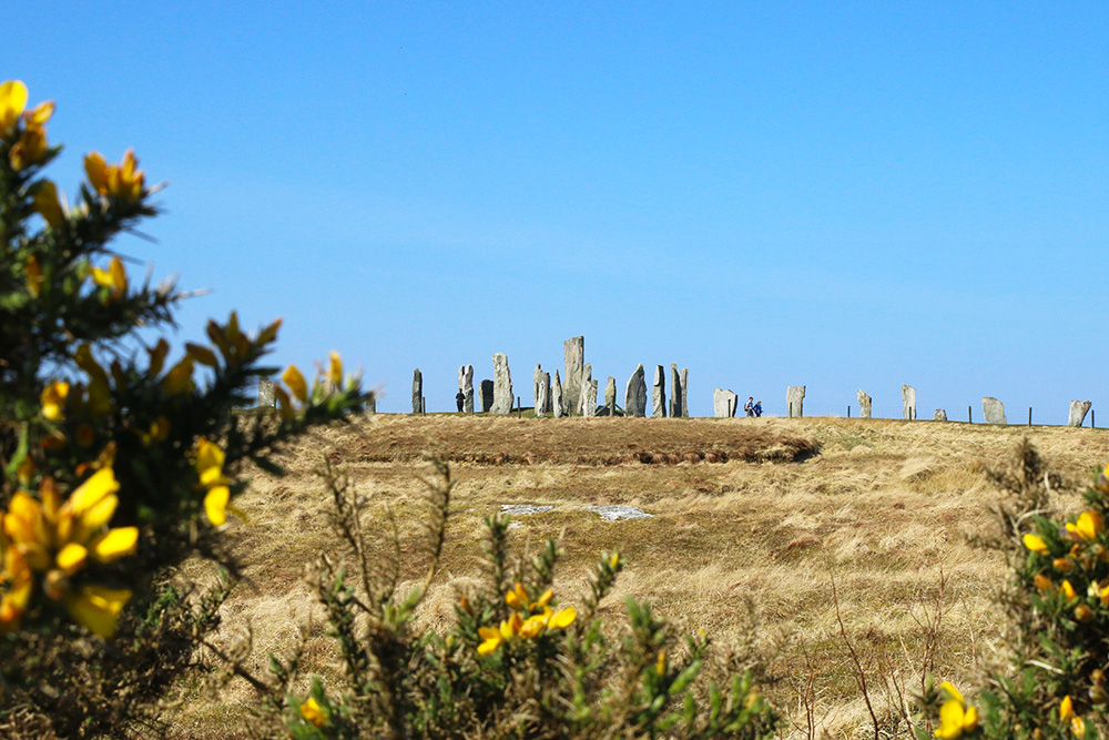 isle-lewis-callanish6