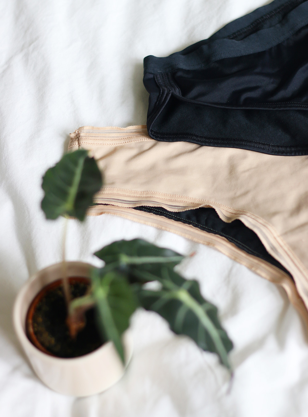 culottes-menstruelles-thinx2