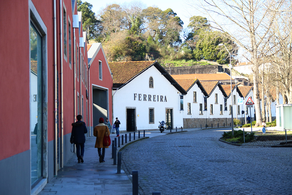 visite-ferreira-porto