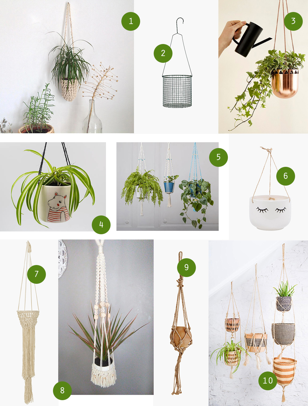 selection-suspensions-plantes