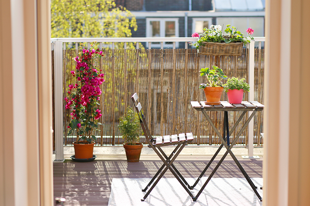 plantes pour balcon