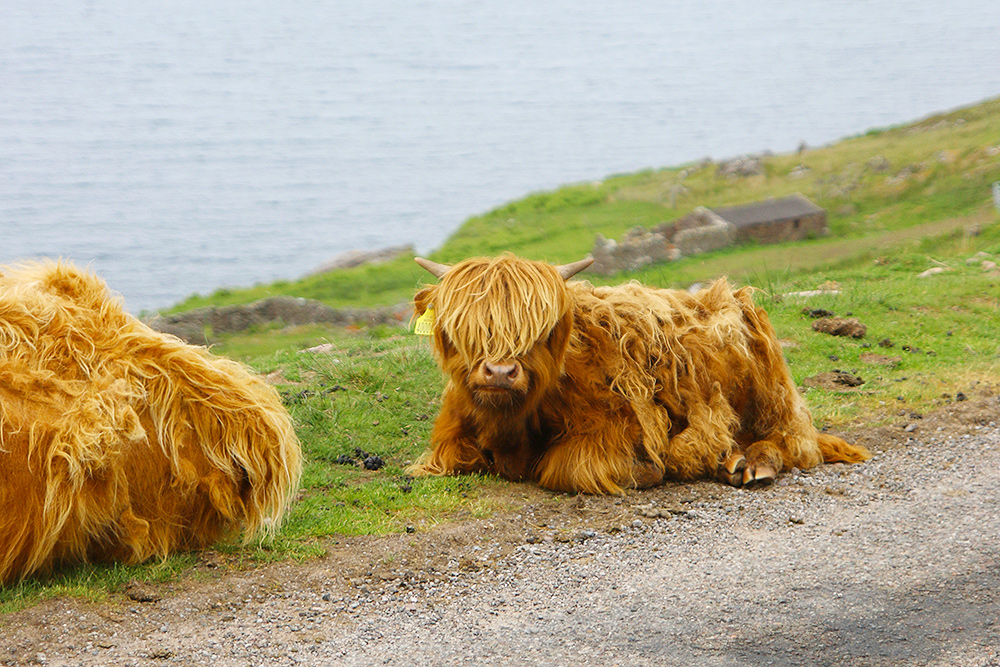 route-applecross-torridon8