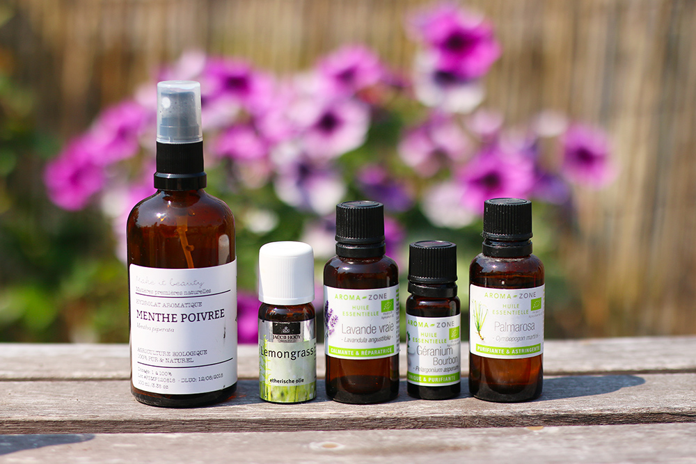 diy-spray-anti-moustique-naturel-maison2