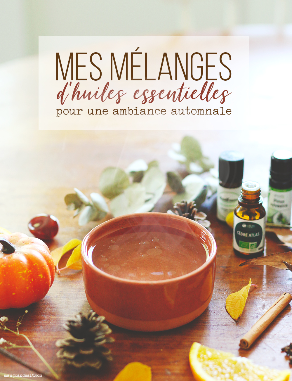 5 mélanges d'huiles essentielles pour une ambiance automnale - Mango & Salt