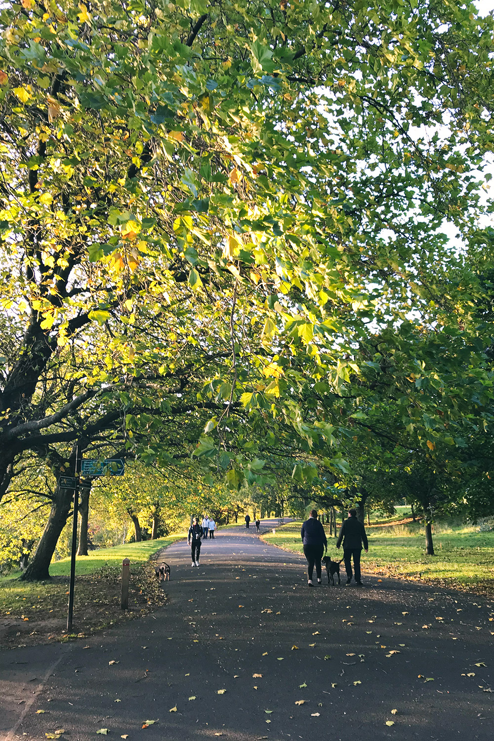 glasgow-parkterrace6