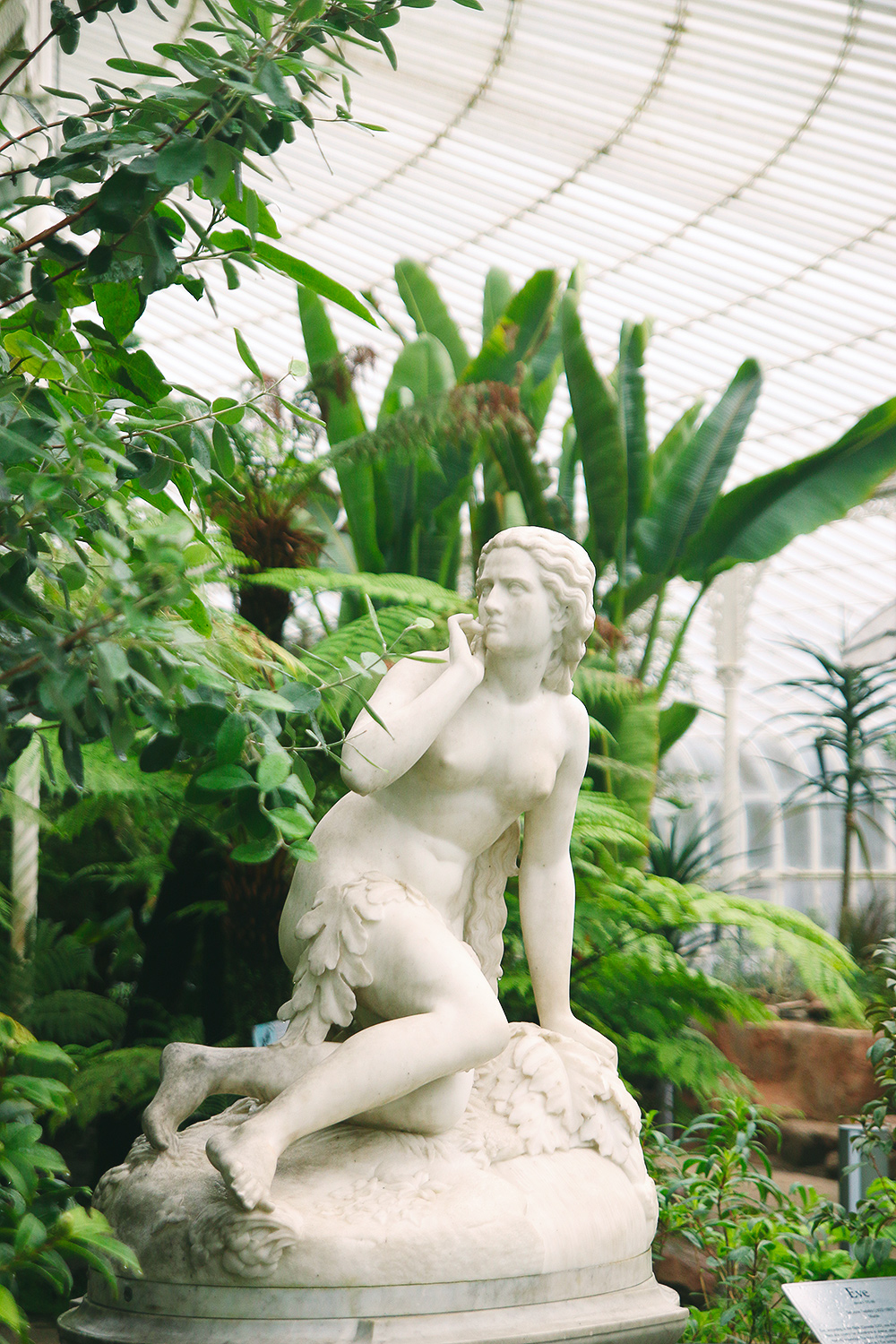 jardin-botanique-glasgow17