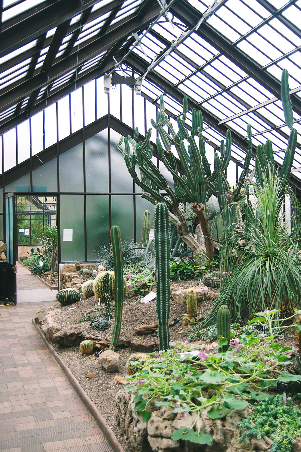 jardin-botanique-glasgow5
