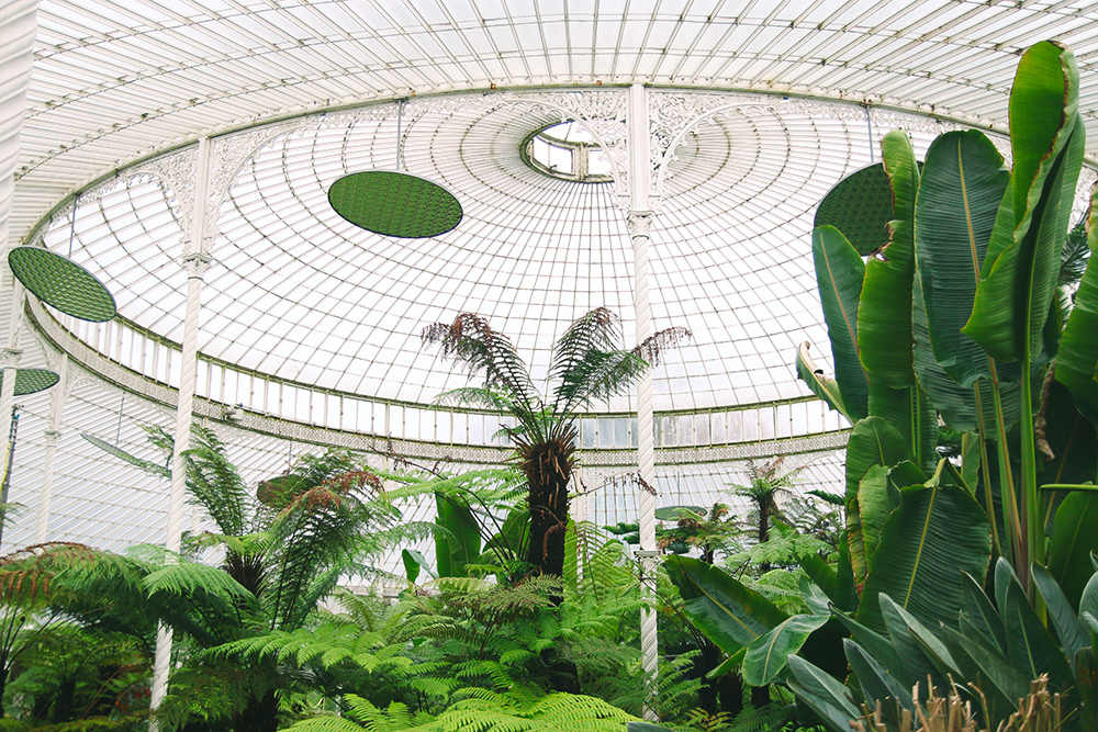 jardin-botanique-glasgow9