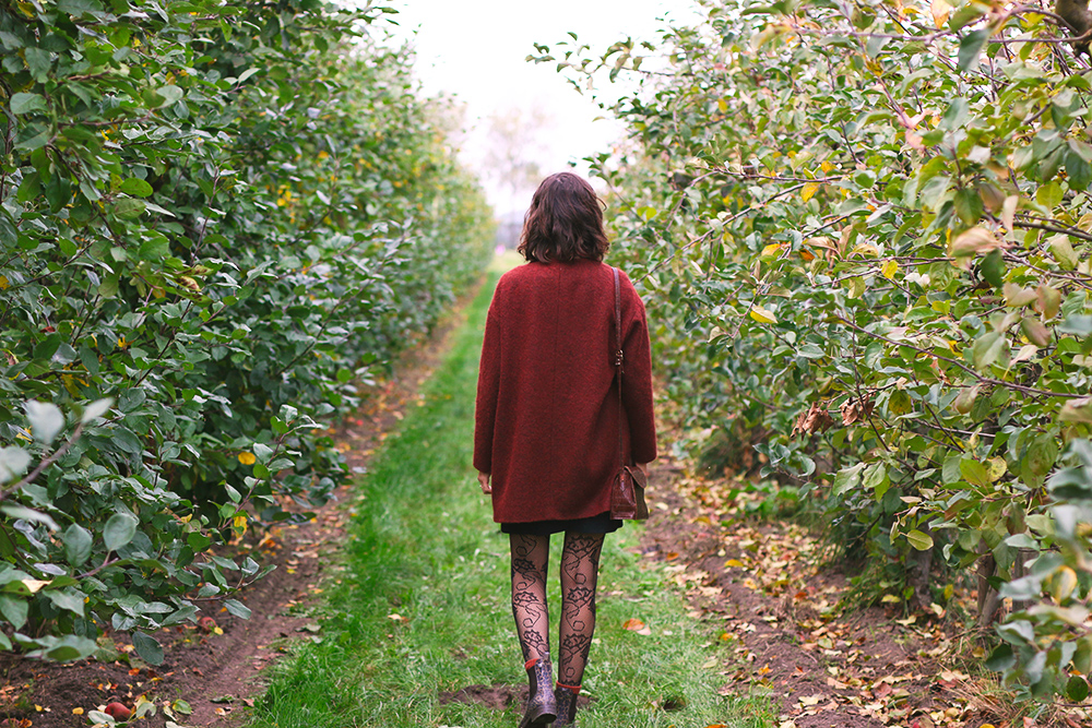 recoltes-automne-cueillette-pommes-amsterdam