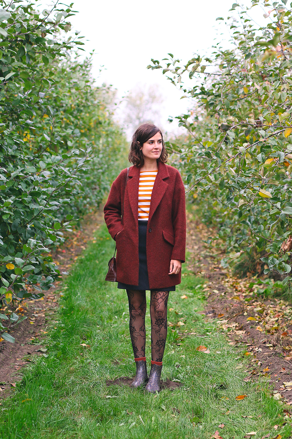recoltes-automne-cueillette-pommes-amsterdam10