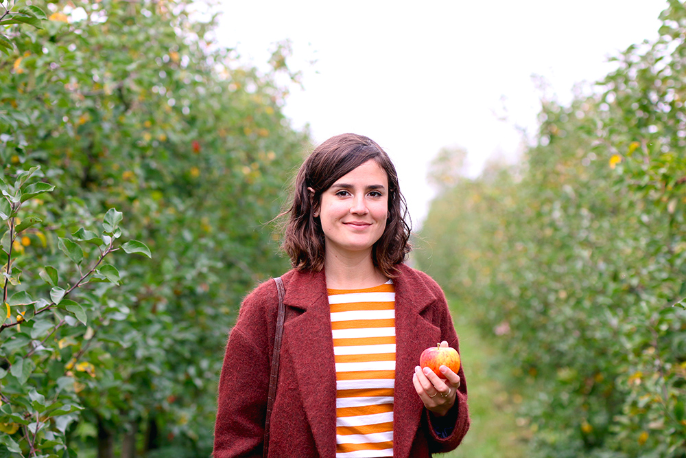 recoltes-automne-cueillette-pommes-amsterdam13