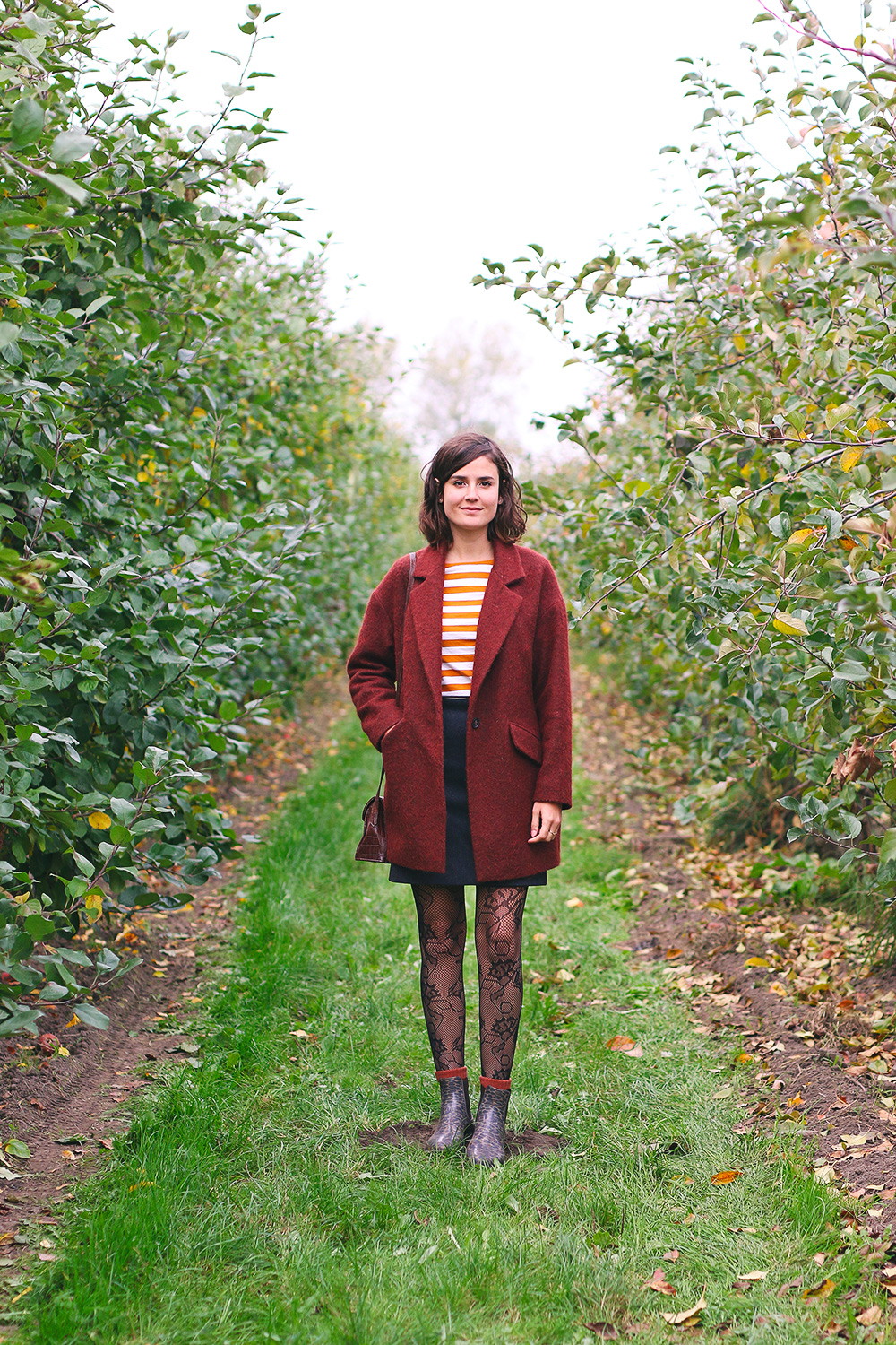 recoltes-automne-cueillette-pommes-amsterdam3-bis