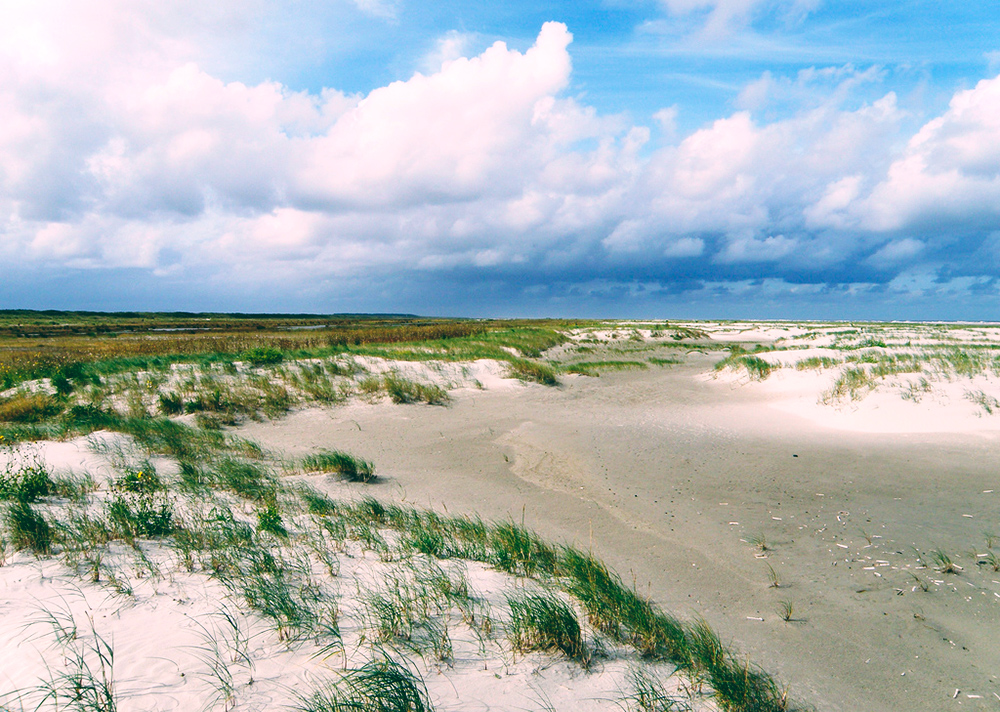 bucketlistvoyage2019-schiermonnikoog