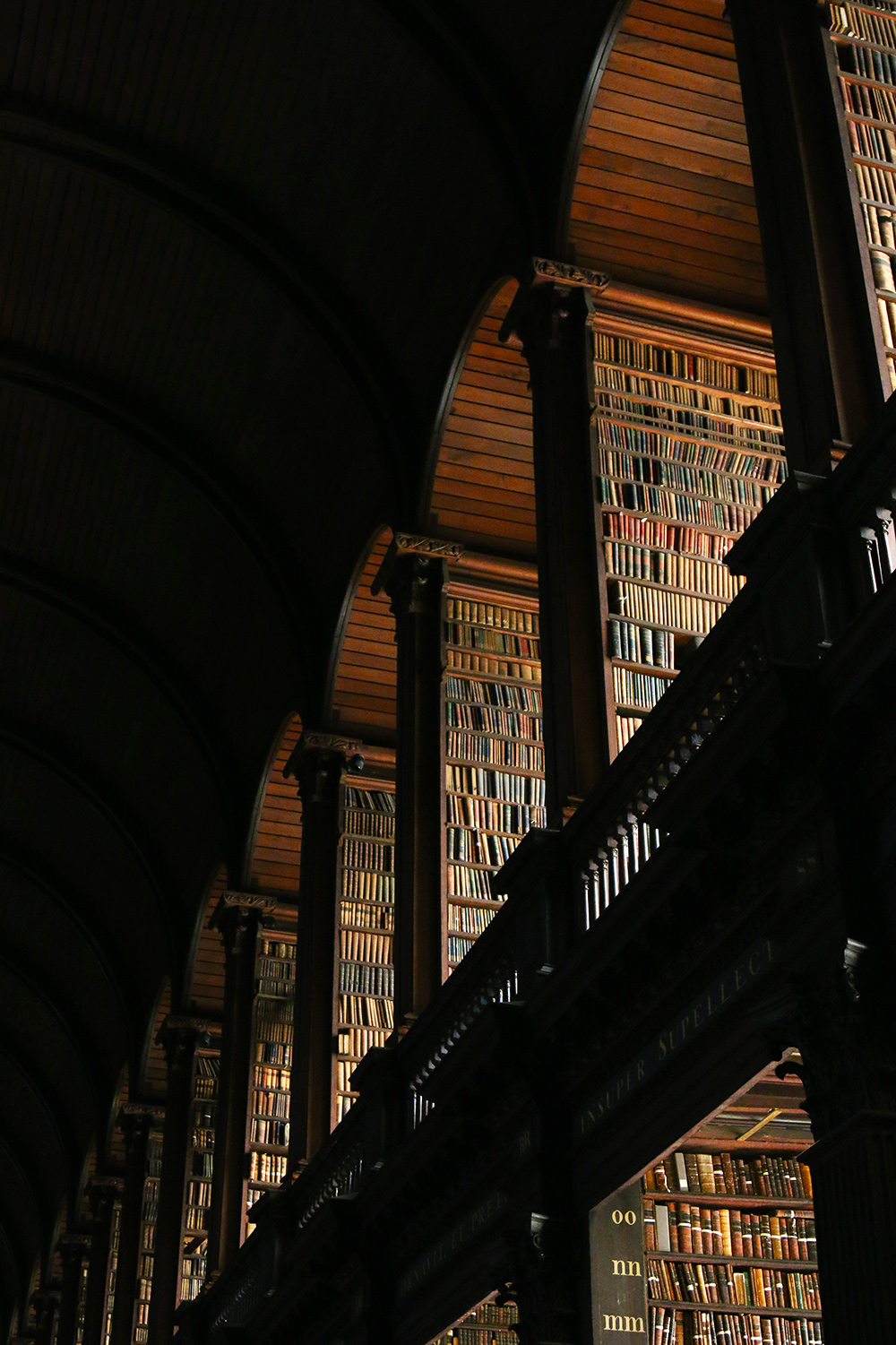 dublin-trinitycollege-bibliotheque7