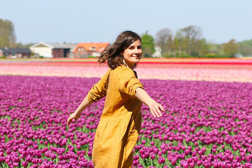 visite-champs-tulipes-lisse-hollande