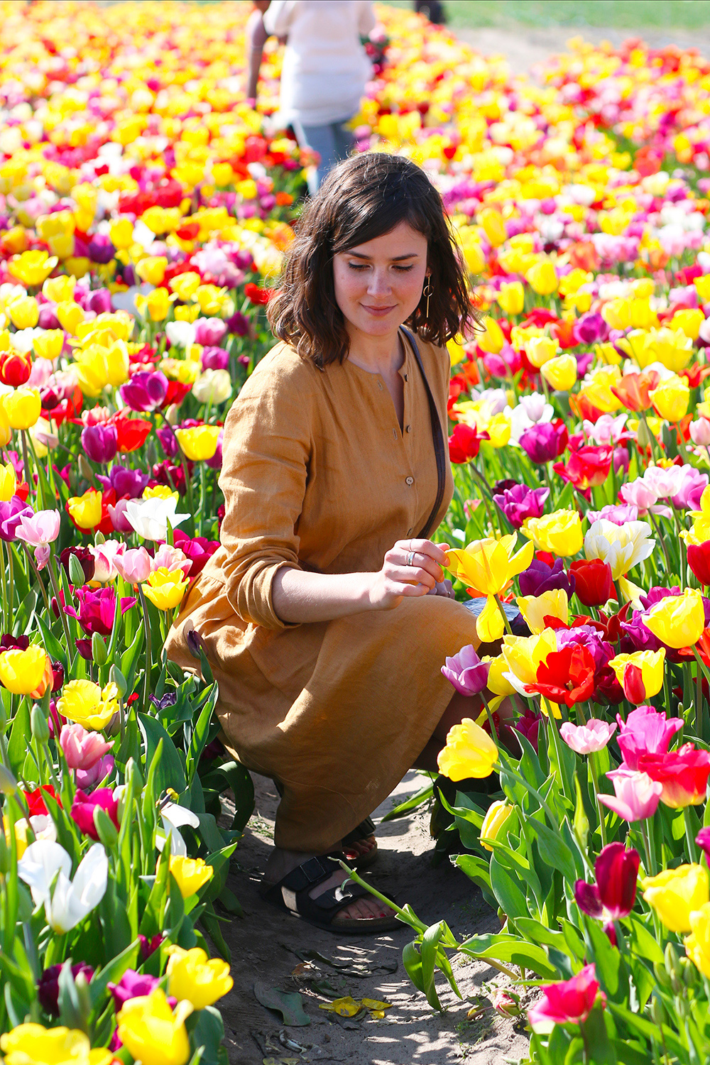 visite-champs-tulipes-lisse-hollande17