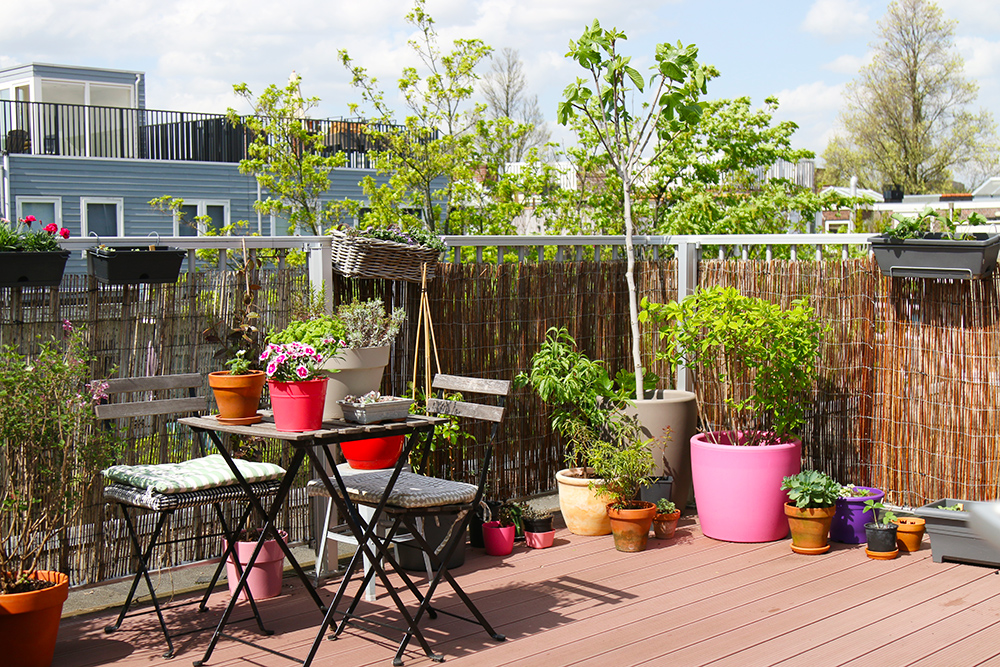 visite-terrasse-rooftop-plantes-exterieur9