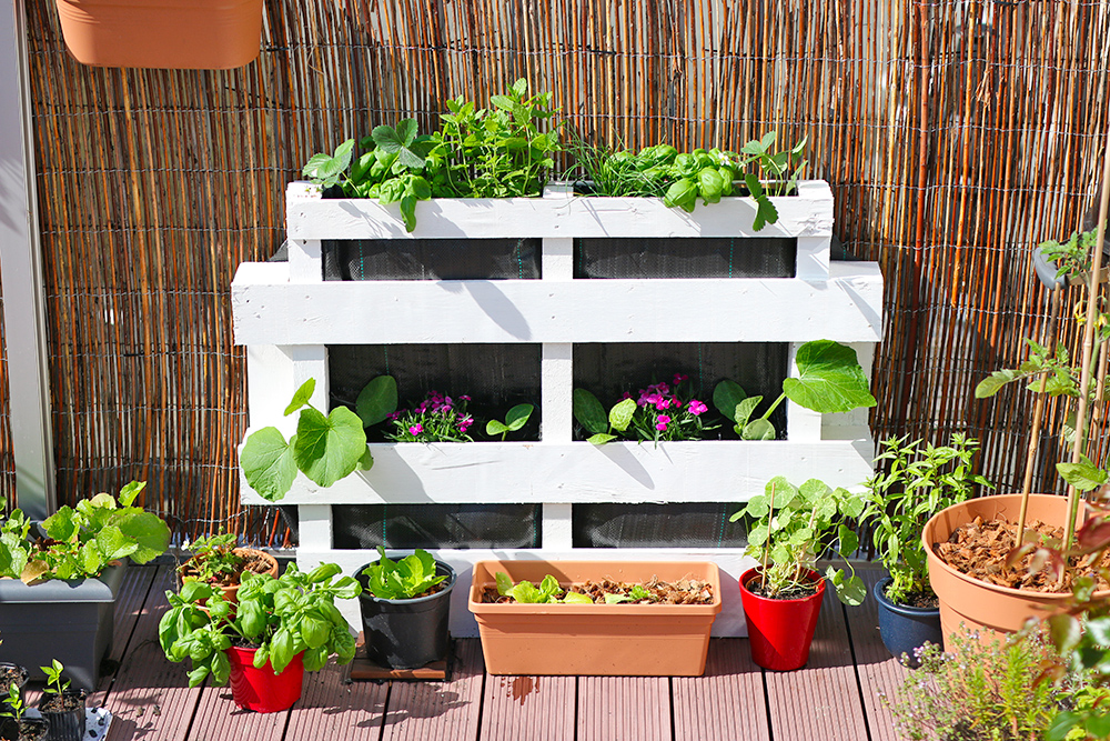 Diy Mini Potager Vertical En Palette Mango And Salt