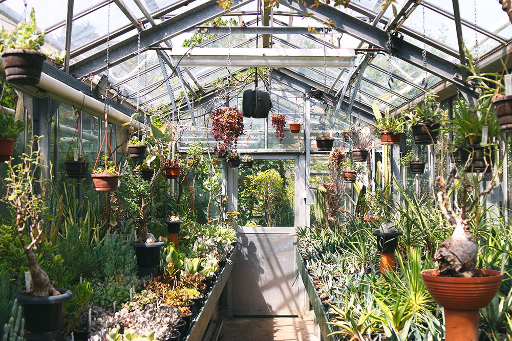 jardin-botanique-universitaire-zuidas-amsterdam