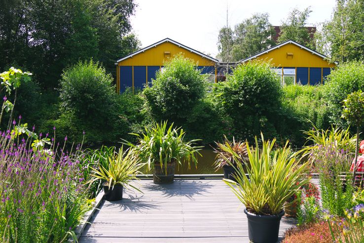 Une visite au jardin botanique Zuidas d'Amsterdam - Mango and Salt