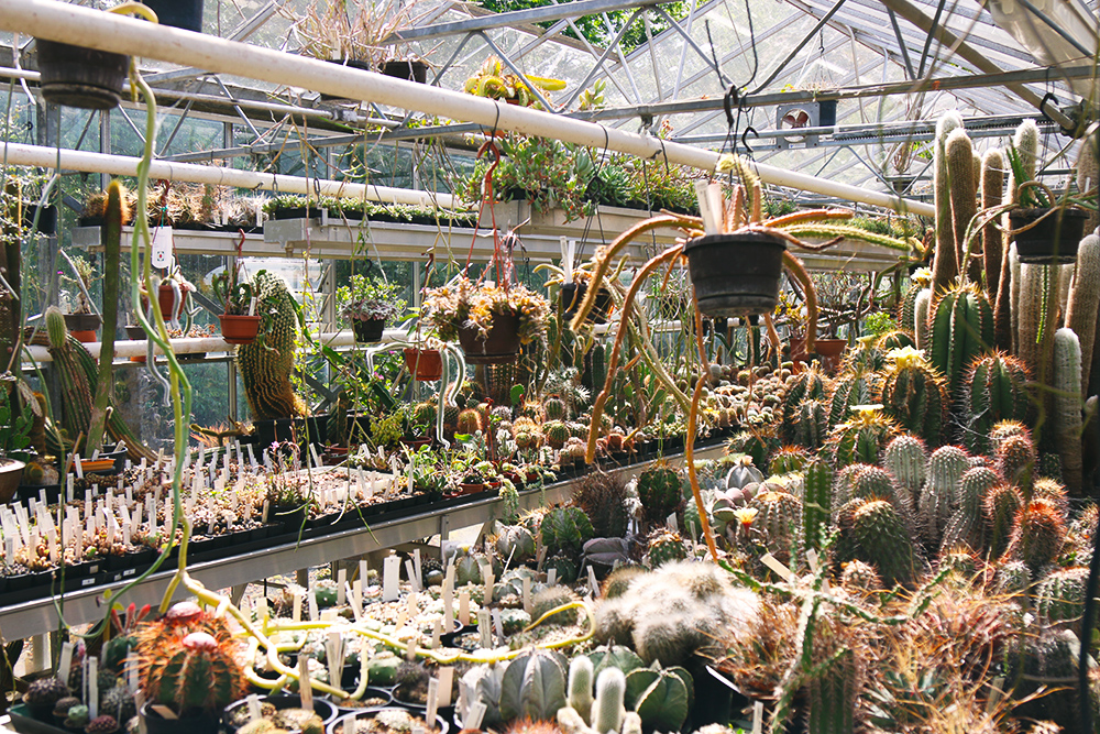 jardin-botanique-universitaire-zuidas-amsterdam16