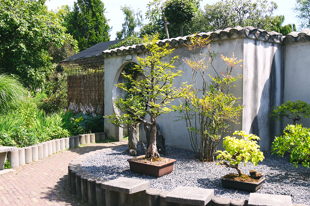 jardin-botanique-universitaire-zuidas-amsterdam2