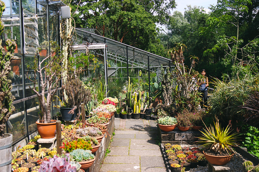 jardin-botanique-universitaire-zuidas-amsterdam21