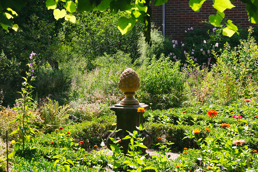 jardin-botanique-universitaire-zuidas-amsterdam27