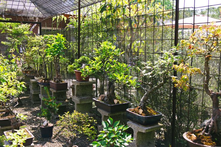 Une visite au jardin botanique Zuidas d'Amsterdam - Mango and Salt